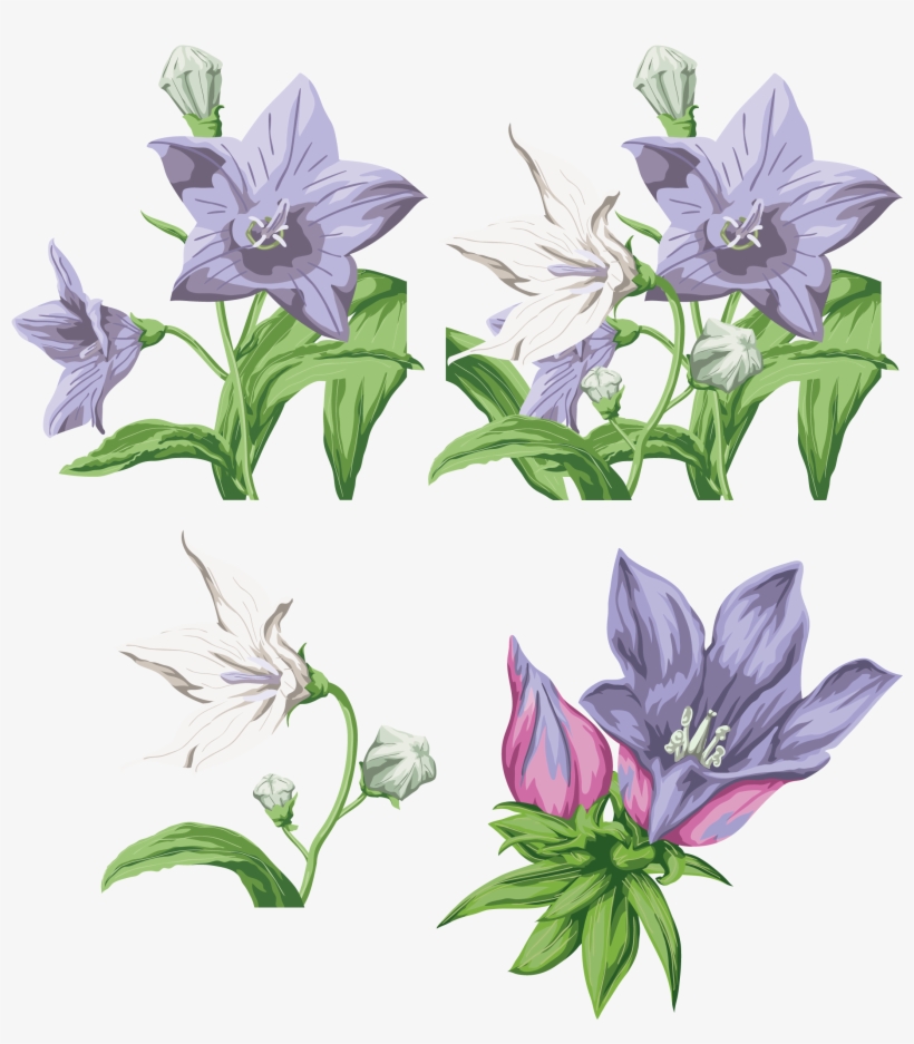 Clip Art, transparent png