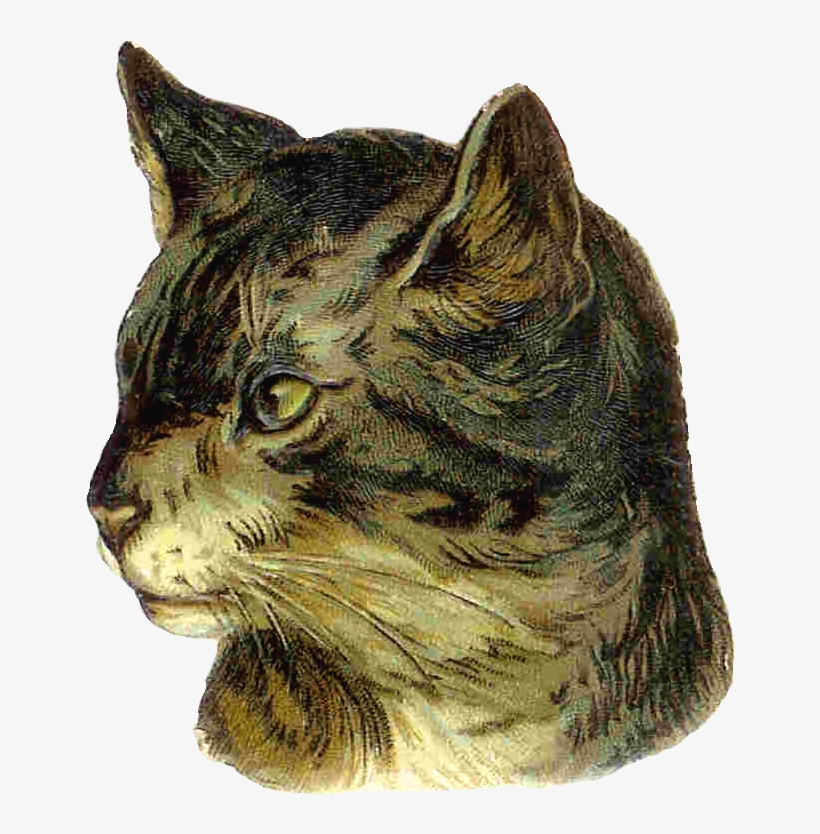This Is Most Typically How Cats In The Victorian Era - Vintage Cat Png, transparent png