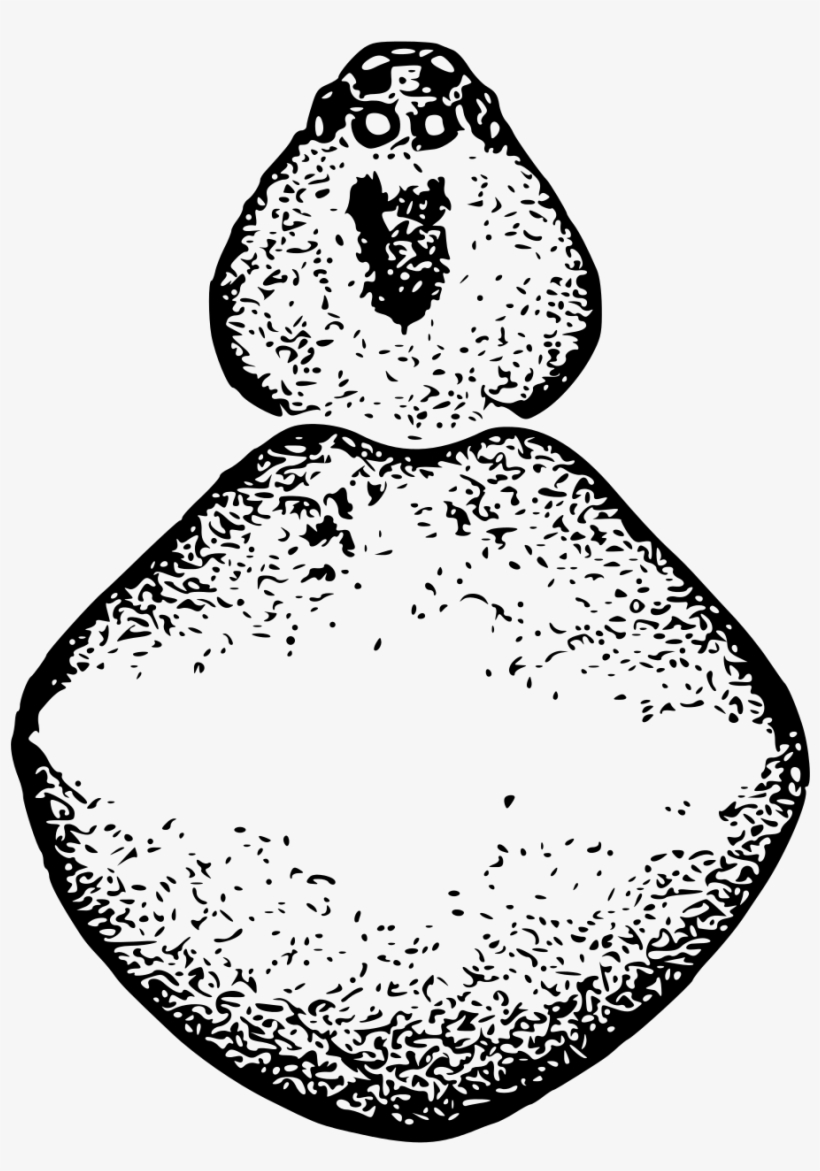 Open - Illustration, transparent png