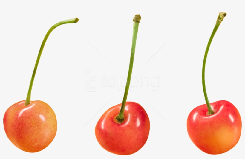 Free Png Download Cherry Clipart Png Photo Png Images - Png Free For Commercial Use, transparent png