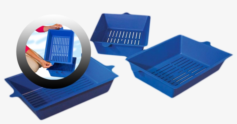 La Lettiera Del Tuo Gatto Sempre Pulita Come Il Trono - King Kitten Lettiera, transparent png