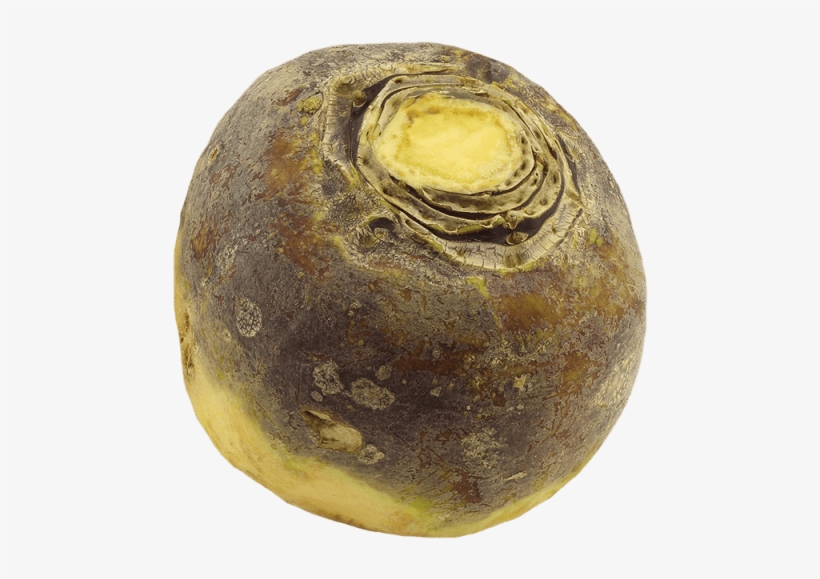 1 Unit - Turnip, transparent png