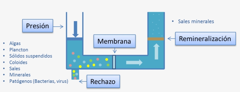 ¿en - Diagram, transparent png