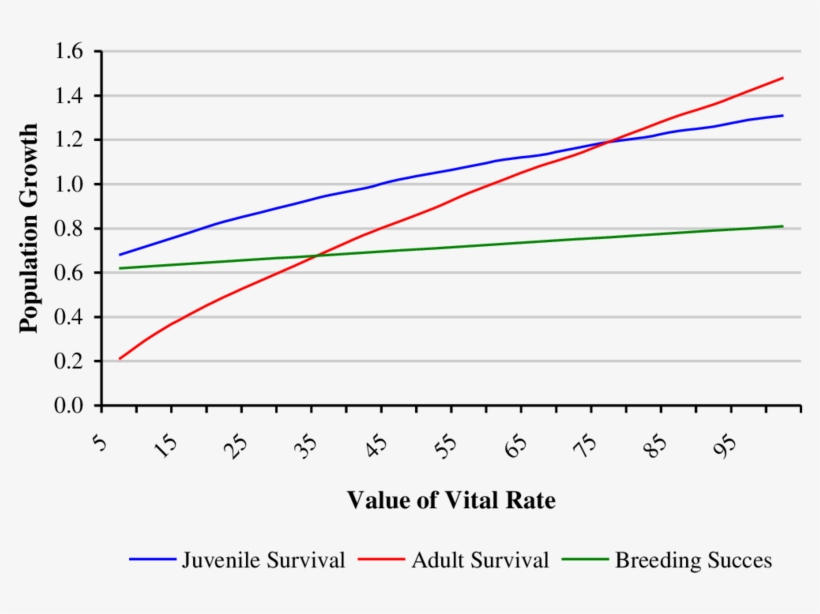 The Effects Of Changing Vital Rates On Population Growth - Diagram, transparent png
