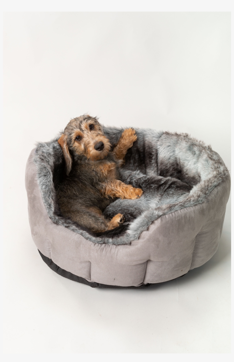 Silver Arctic Fox Faux Fur Luxury Dog Bed By House - Cocker Spaniel, transparent png