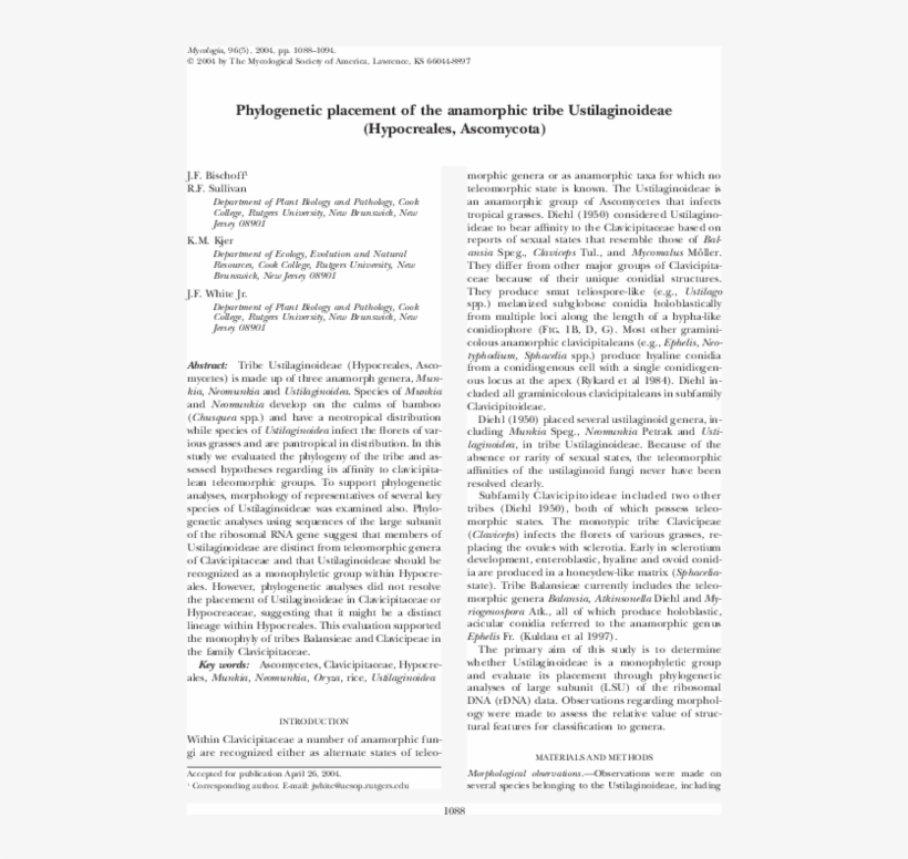 Pdf - Folio Eighteen From Burchard Of Sion's De Locis Ac, transparent png
