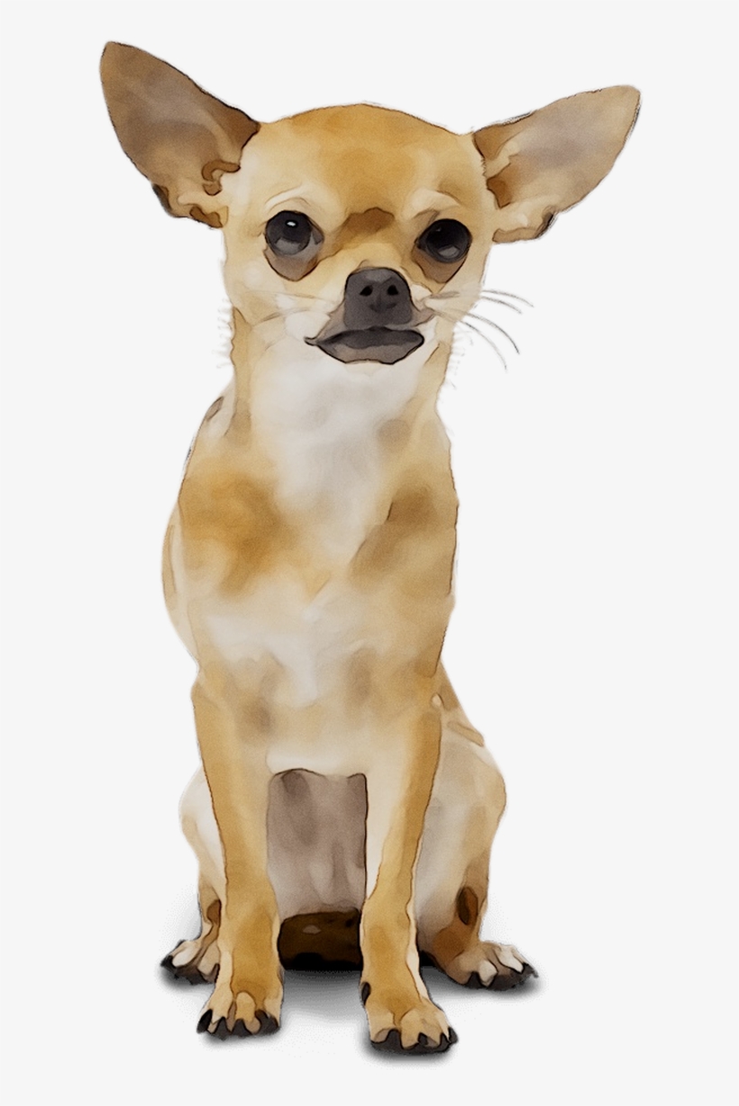Chihuahua Russkiy Breed Dog Toy Wedding Organizer Clipart - Chihuahua, transparent png