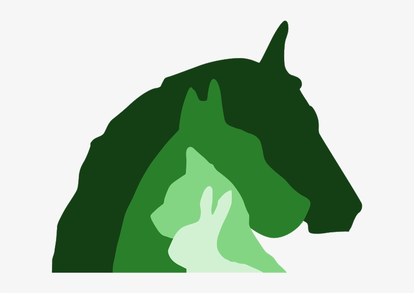 Clinique Trinaire De L'olivier Villeneuve Berg - Illustration, transparent png