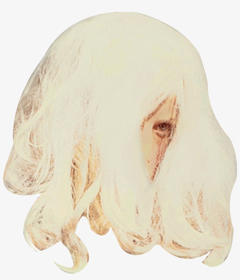 Download - Golden Retriever, transparent png