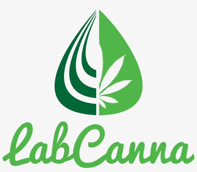 Coupons & Discounts - Graphic Design, transparent png