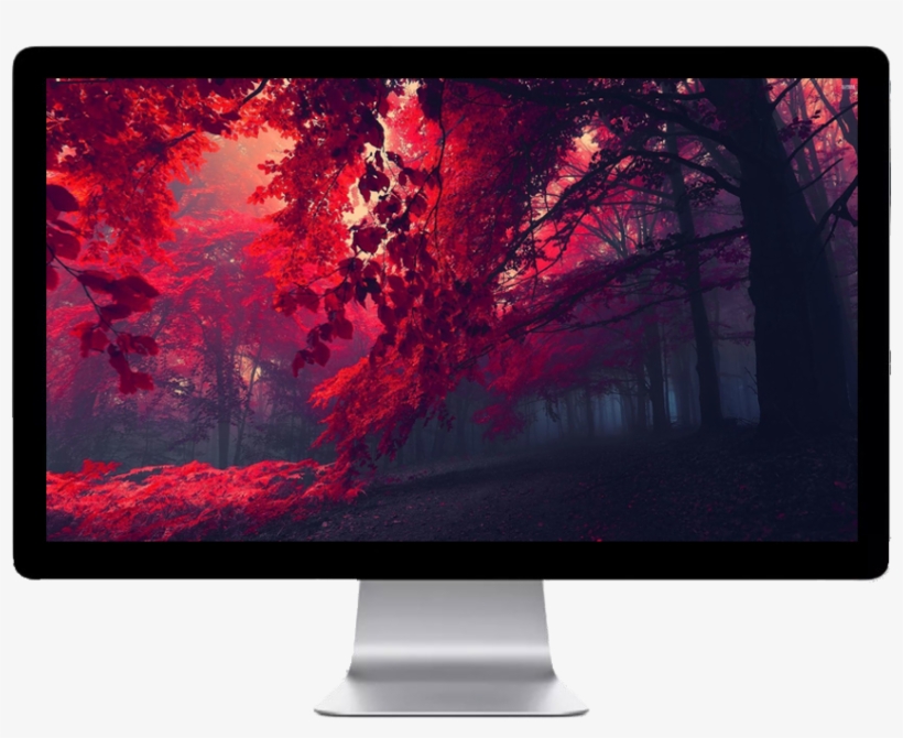 Score 50% - High Resolution Colorful Backgrounds, transparent png