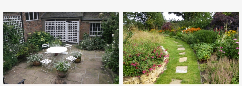 Yorkshire Garden Designer - Rosa Wichuraiana, transparent png
