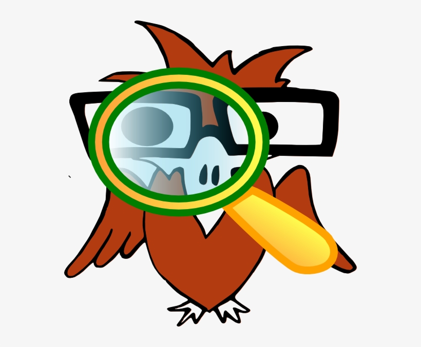 Image Freeuse Download At Getdrawings Com Free For - Clip Art Eagle Eye, transparent png