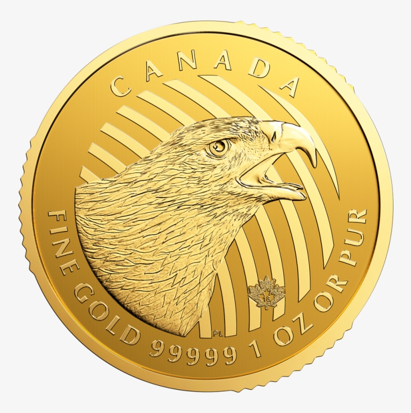 Call Of The Wild Golden Eagle 1oz Gold Coin 2018 - Canadian Gold Coins 1oz, transparent png