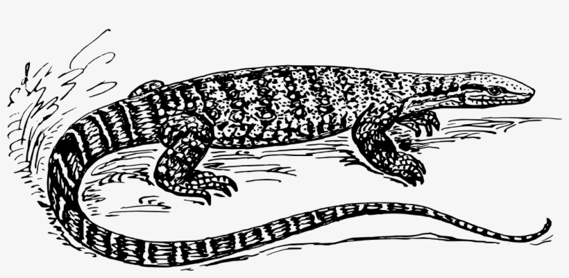 Komodo Dragon Clipart Black And White - Largarto Preto E Branco, transparent png