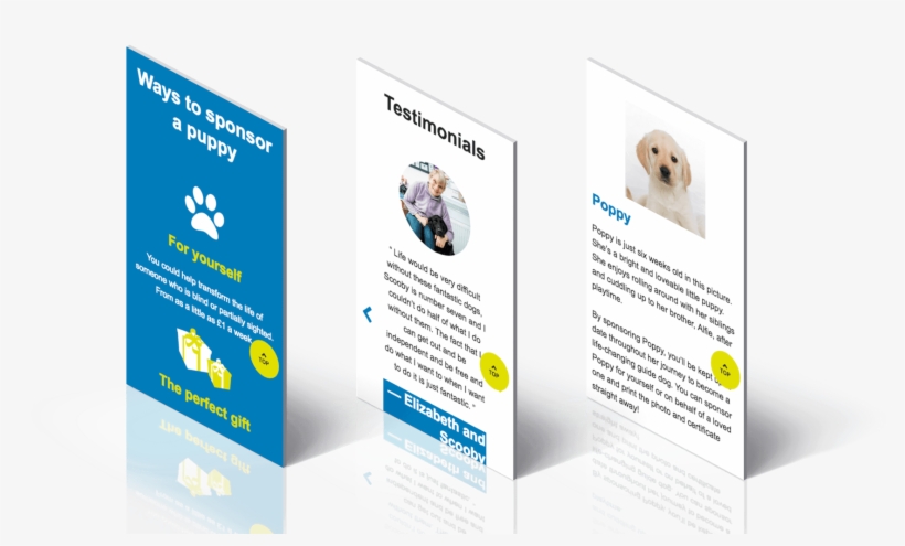 We Have Worked With Mso For Over 4 Years On A Variety - Flyer, transparent png