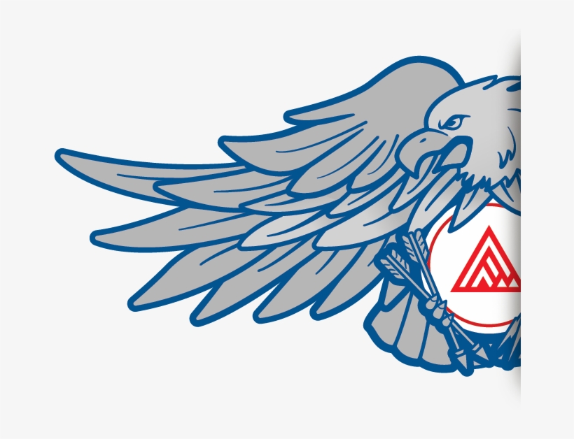 Upper Left Usa Eagle - Illustration, transparent png