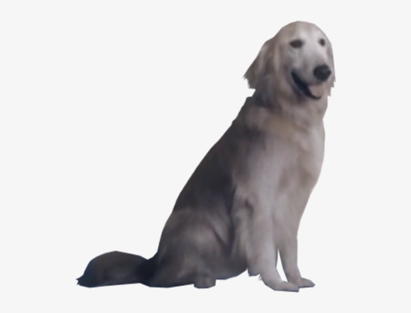 Ace Combat Jpeg Dog - Ace Combat 7 Dog Jpg, transparent png