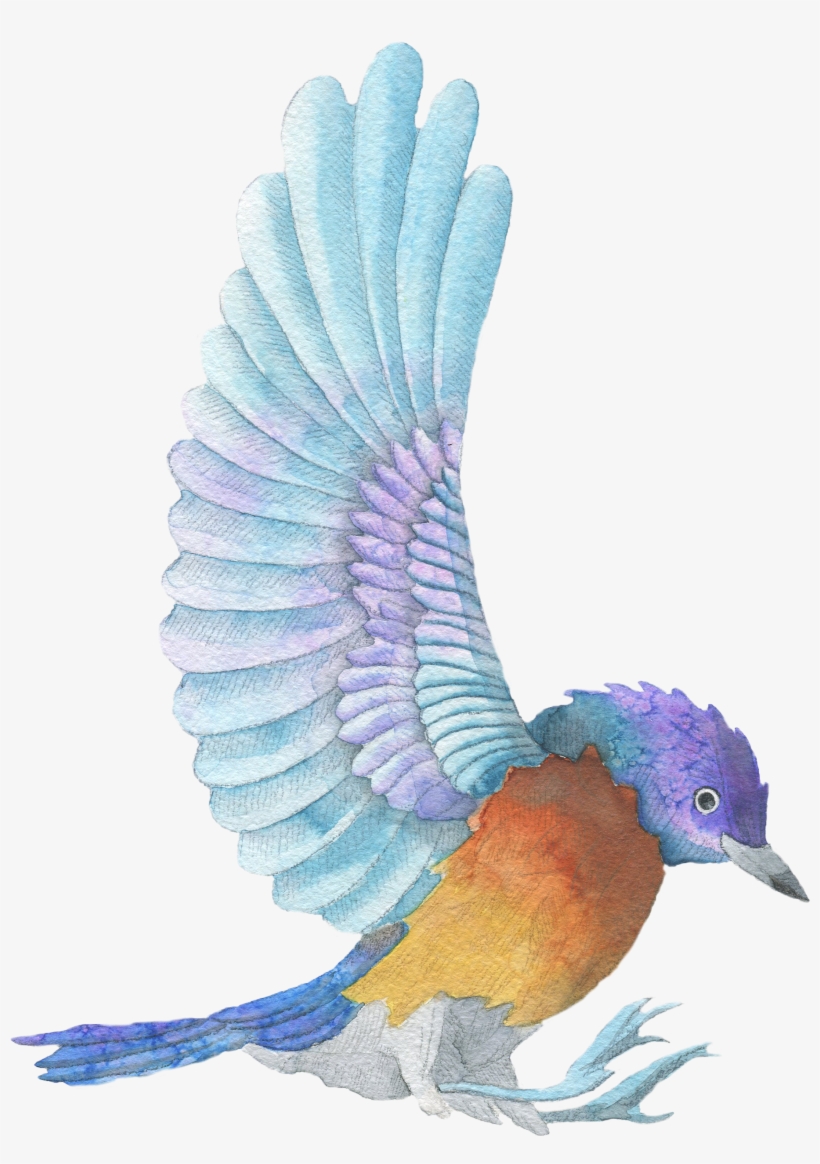 Bird - Bird Quote, transparent png