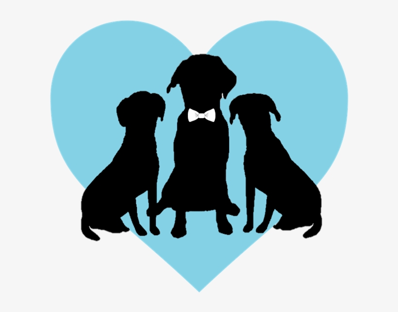 No Words - Dog Licks, transparent png