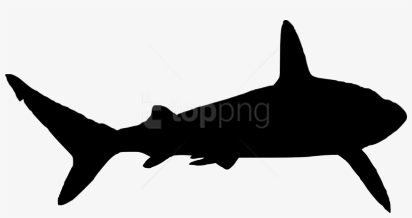 Free Png Shark Silhouette Png Images Transparent - Shark Silhouette Png, transparent png