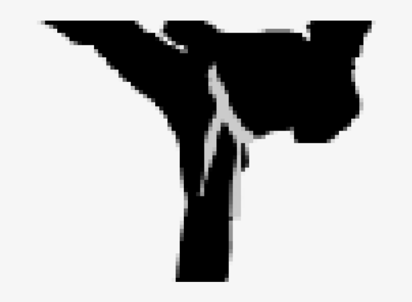 Adult Karate - Silhouette, transparent png