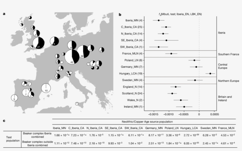 Investigating The Genetic Makeup Of Beaker-complexassociated - Blue Banana Eu, transparent png