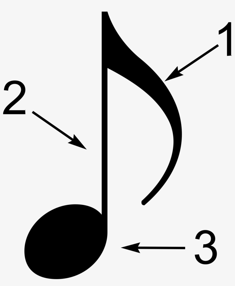 Parts Of A Music Note - Parts Of A Note, transparent png