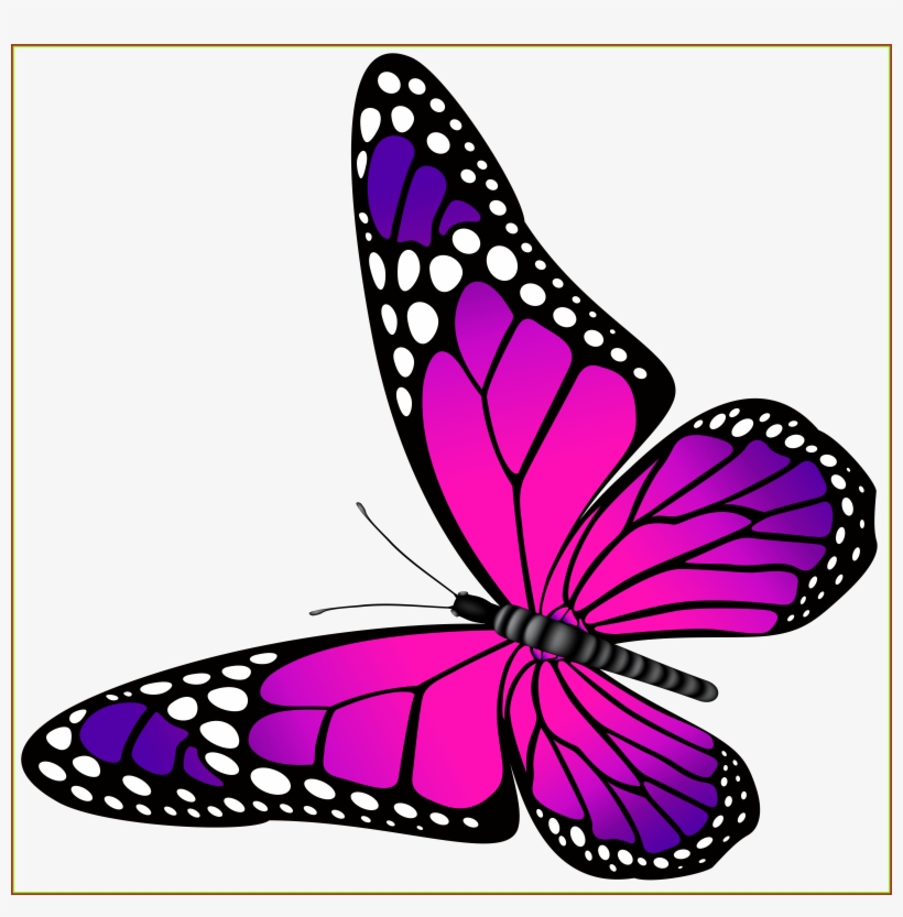 Amazing Orange Butterfly Png Clip Art Image Ⓒ, transparent png