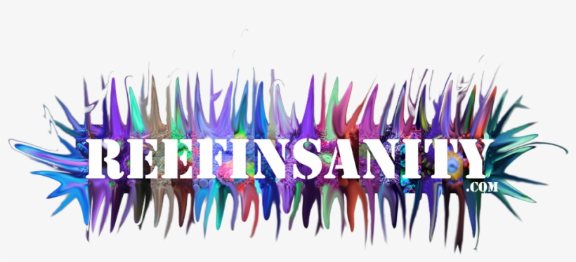 Graphic Design, transparent png