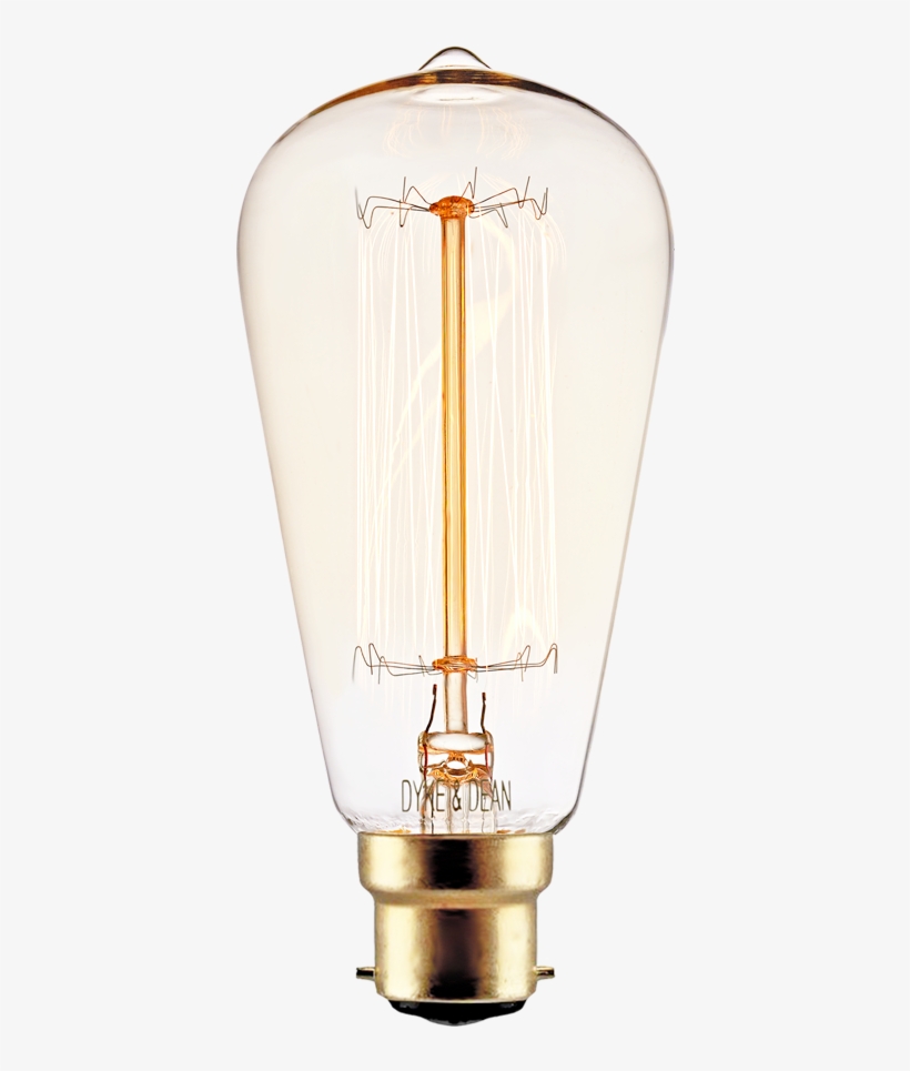 Squirrel Cage Edison Bayonet Filament Bulb 40w, transparent png