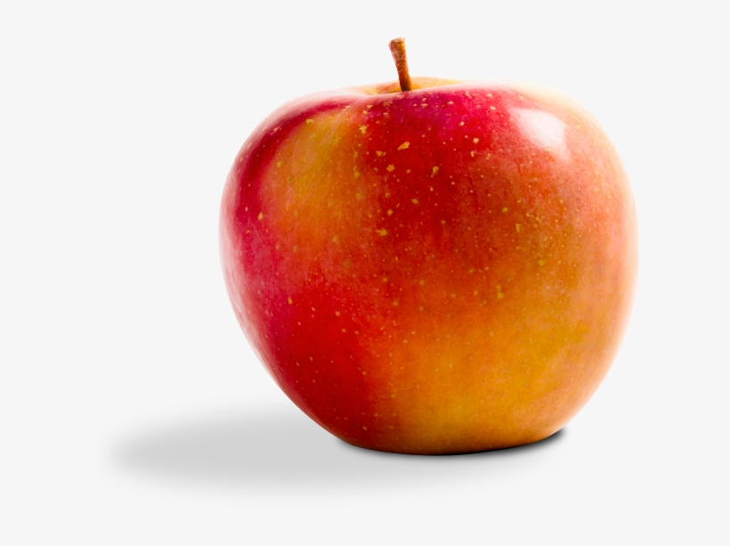 Colombia Janamejoy - Mcintosh, transparent png