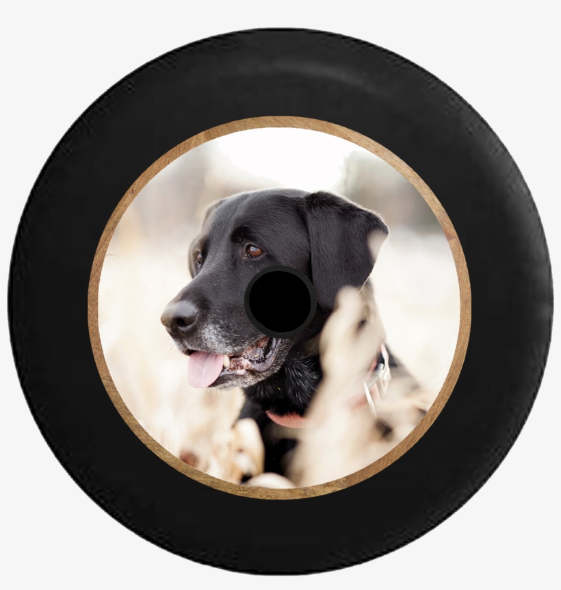 Jeep Wrangler Jl Backup Camera Black Lab Retriever - Black Lab, transparent png