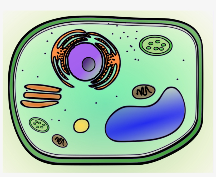 Location - Circle, transparent png