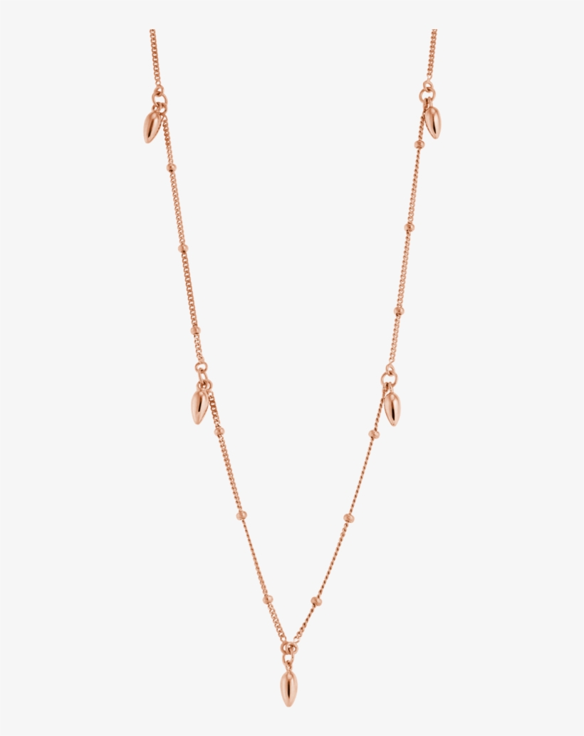 5 Drop Necklace Image - Necklace, transparent png