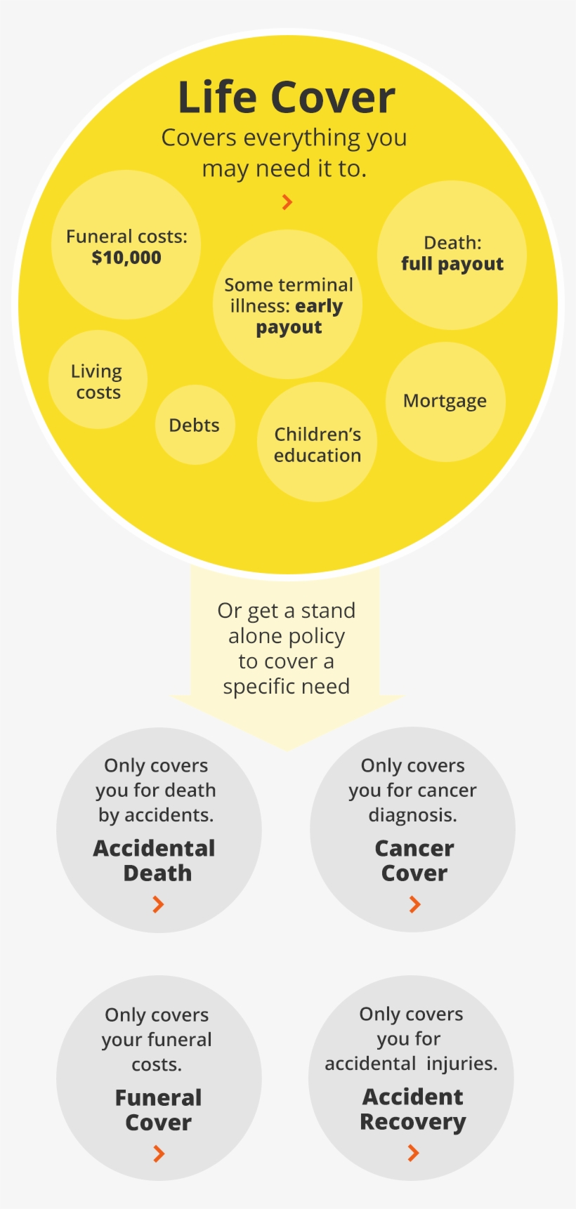Life Cover Covers You For Death, Terminal Illness, - Circle, transparent png