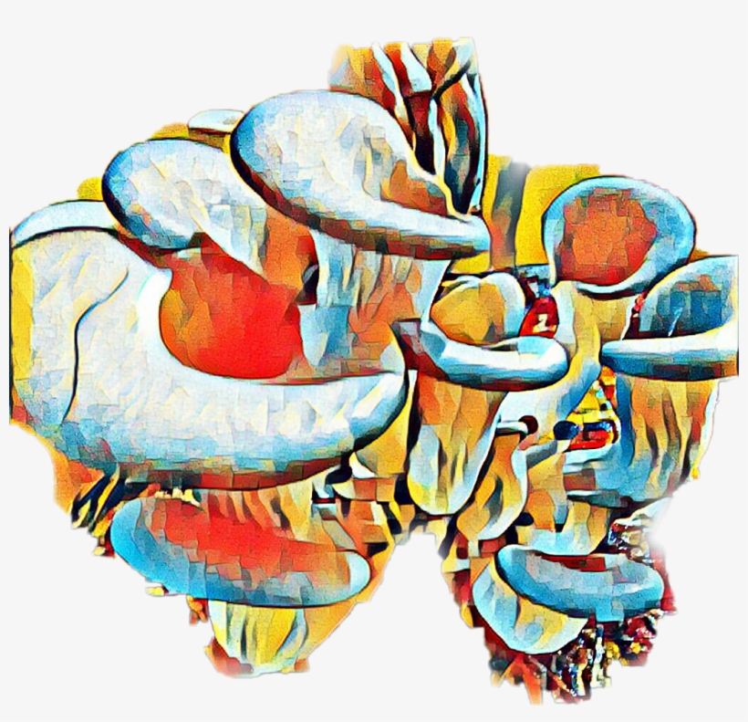 Setas Sticker - Illustration, transparent png