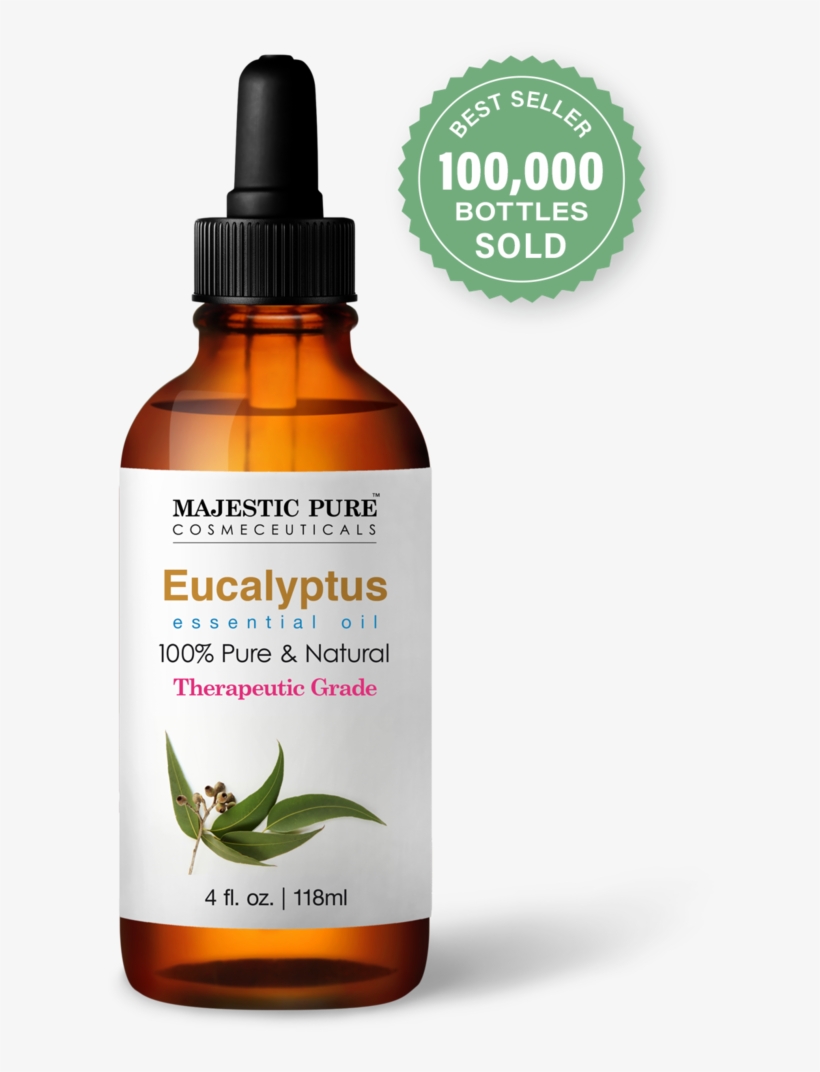 Gum Leaves, transparent png