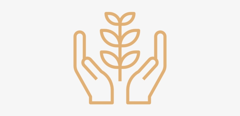 Growthicon2 - Natural Environment, transparent png