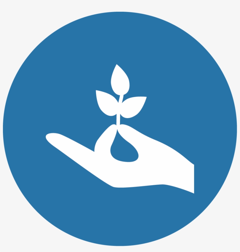 We Conceptualize, Research, And Launch Our Own Companies - Icon Management Blue, transparent png