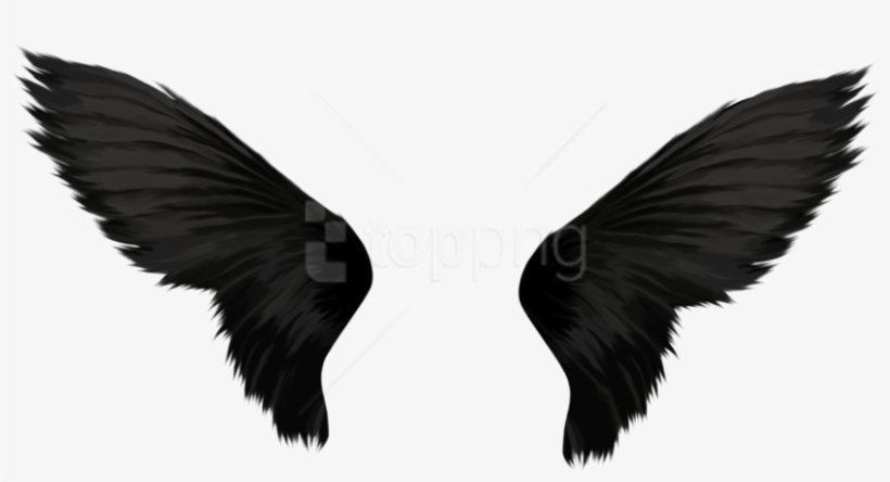 Free Png Download Black Wings Png Images Background - Transparent Background Wings Png, transparent png