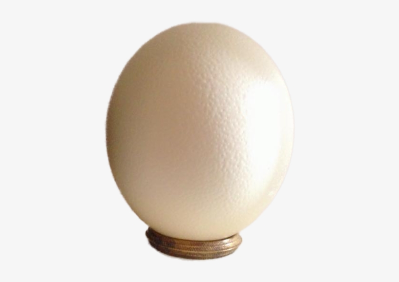 599 X 600 7 - Egg, transparent png