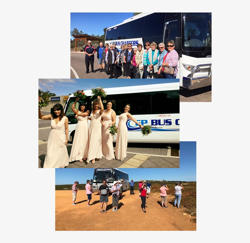Ep Bus Charter Tours Eyre Peninsula Bus Hire - Wedding Reception, transparent png