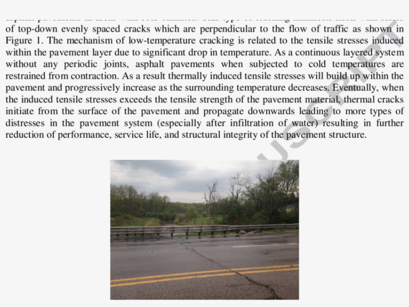 Typical Thermal Cracking In Asphalt Pavements - Tree, transparent png