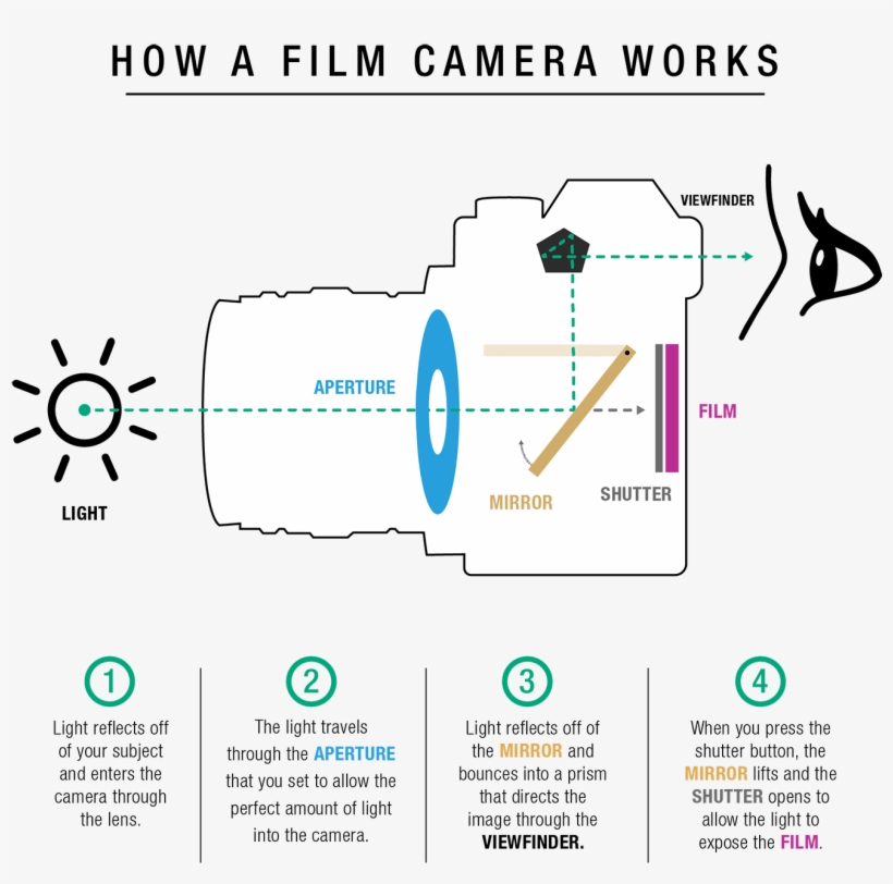 A Mirror Within The Camera Body That Is Diagonally - Diagram, transparent png