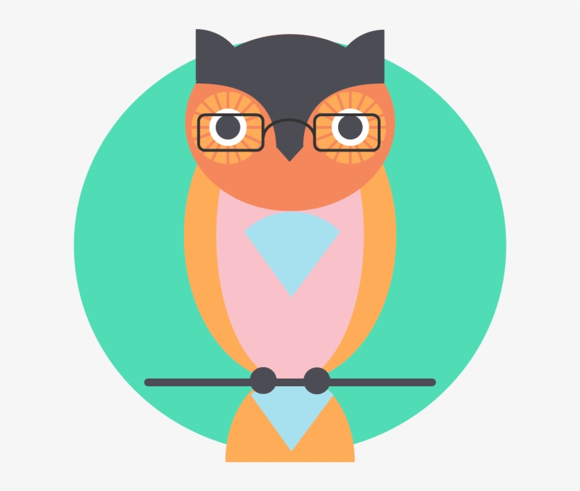 Experienced Aged Care Professionals - Eastern Screech Owl, transparent png