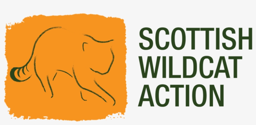 Does The Scottish Wildcat Live, transparent png