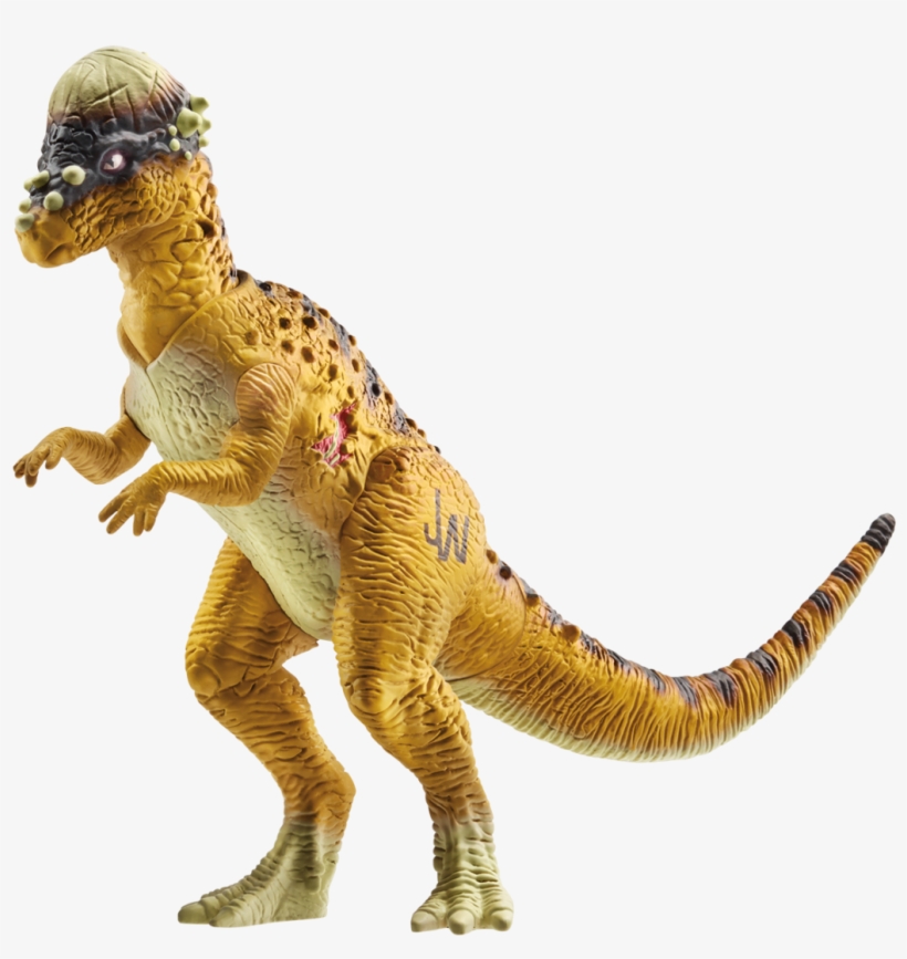 Pachycephalosaurus Jurassic World Basic Figure Pachycephalosaurus - Jurassic World 2 Toys 2018, transparent png