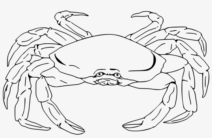Semi-realistic Crab - Crab Png Black And White, transparent png
