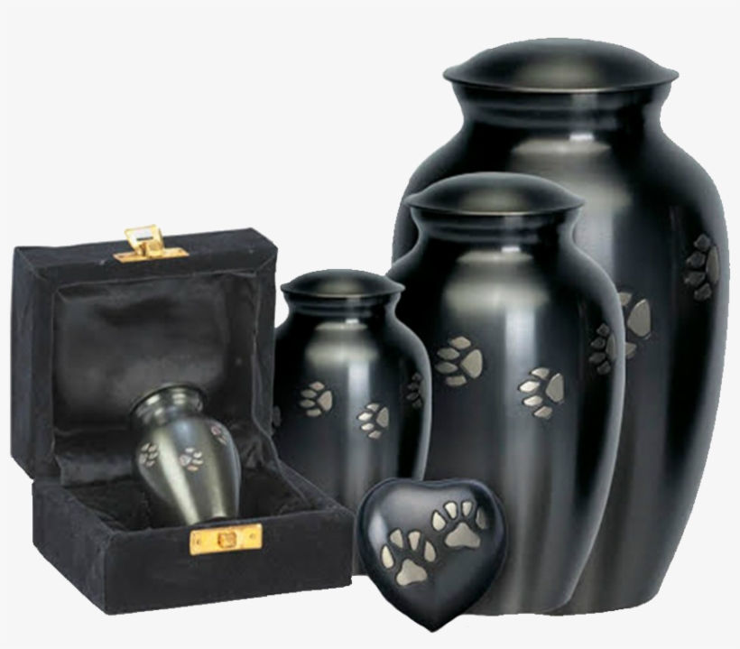 Img 3466 - Vase, transparent png